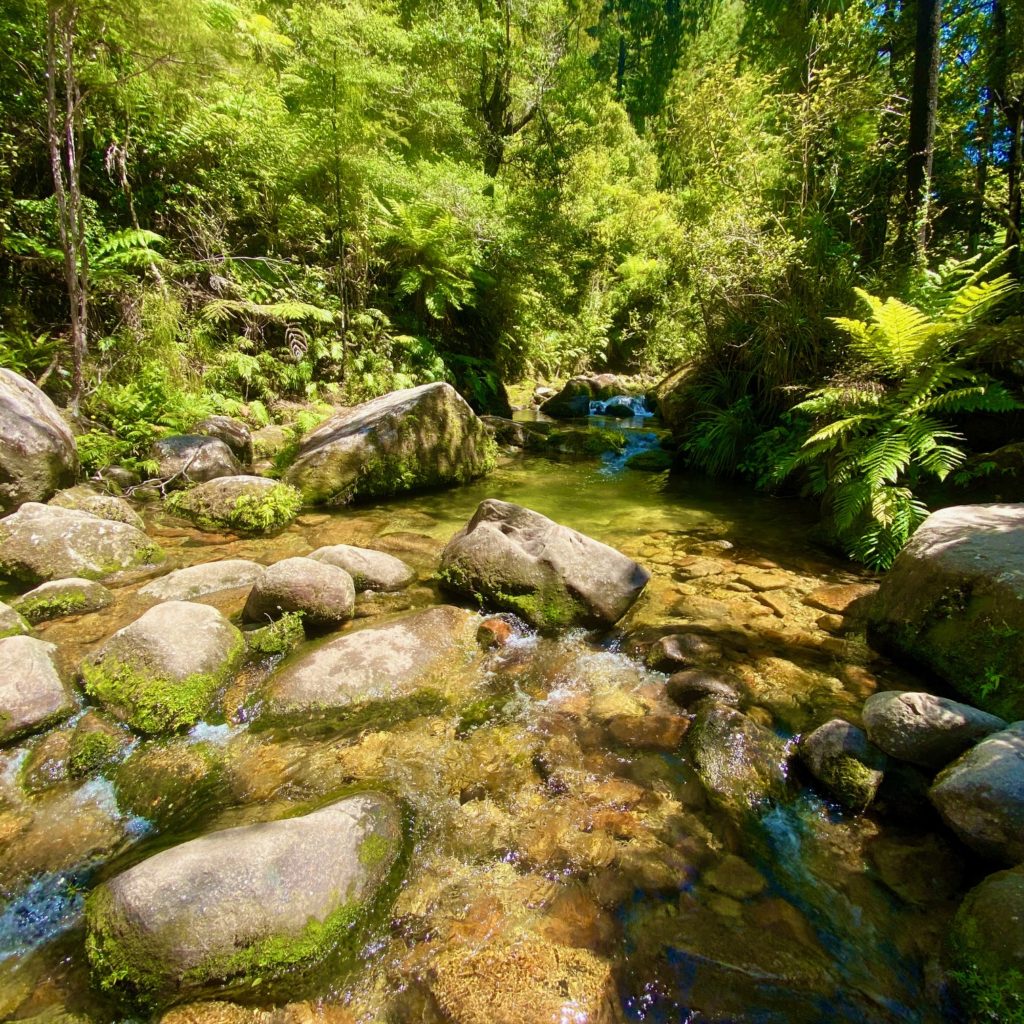 Abel Tasman Cleopatra's Pool