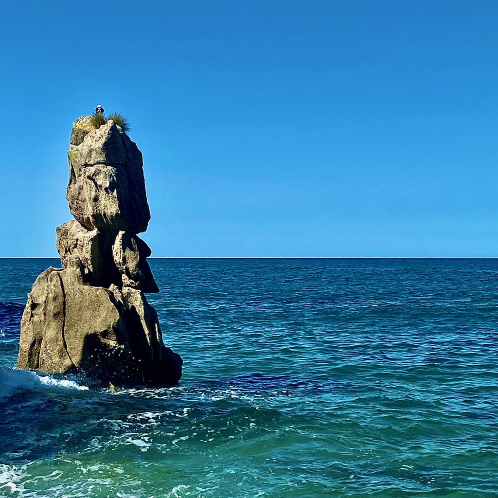 Abel Tasman Seagull Rock Column