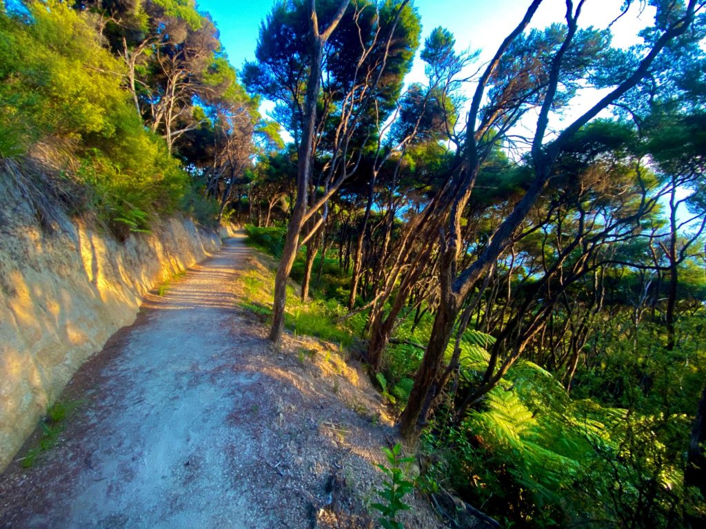 bel Tasman Dappled Morning Light Trail