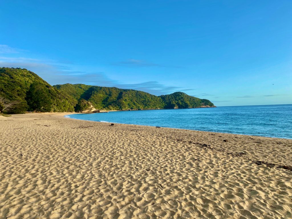 Abel Tasman Textured Beach