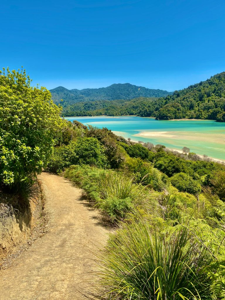 Abel Tasman Trail with shrubs and ocean