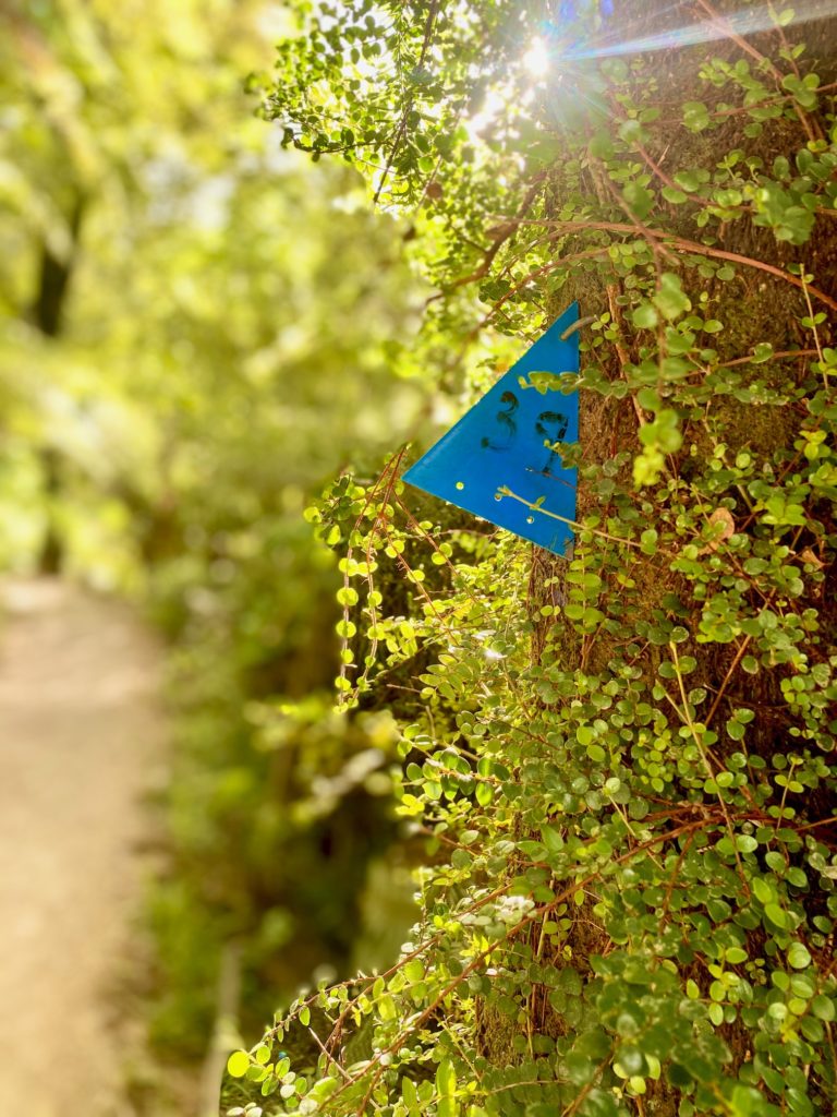 Abel Tasman Trail Marker