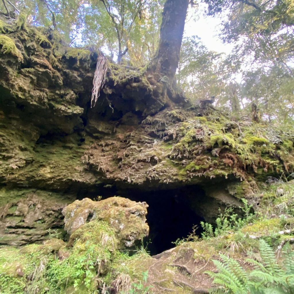 Limestone cave in Heaphy Track's enchanted forest