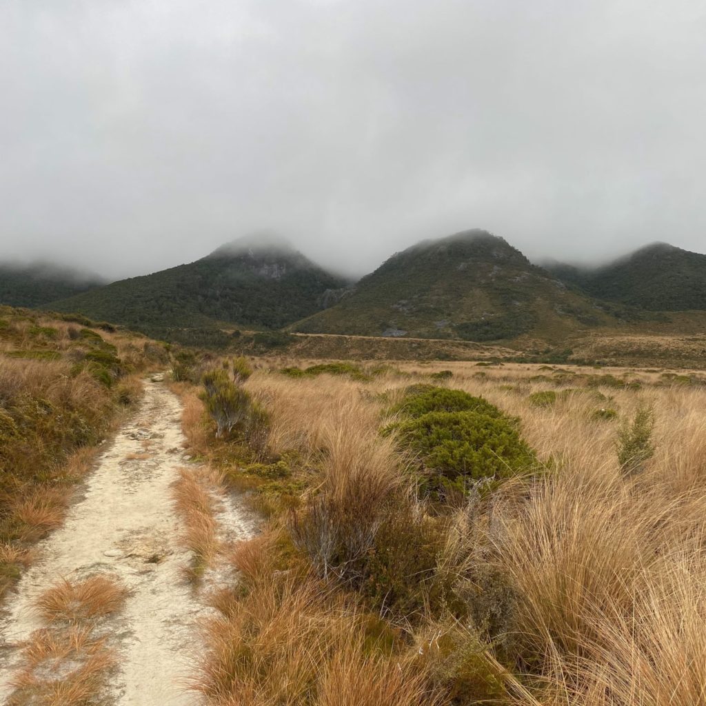 Misty Gouland Downs of Heaphy Track