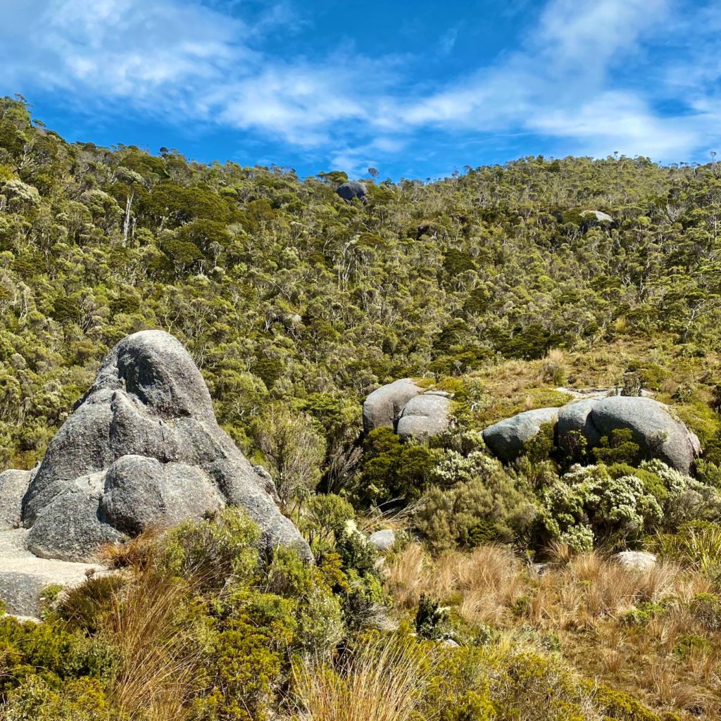 Hiking in Gouland Downs of Heaphy Track