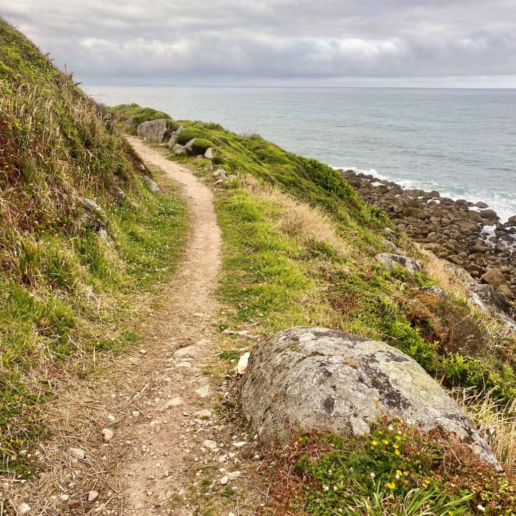 Heaphy Track skirting New Zealand coast