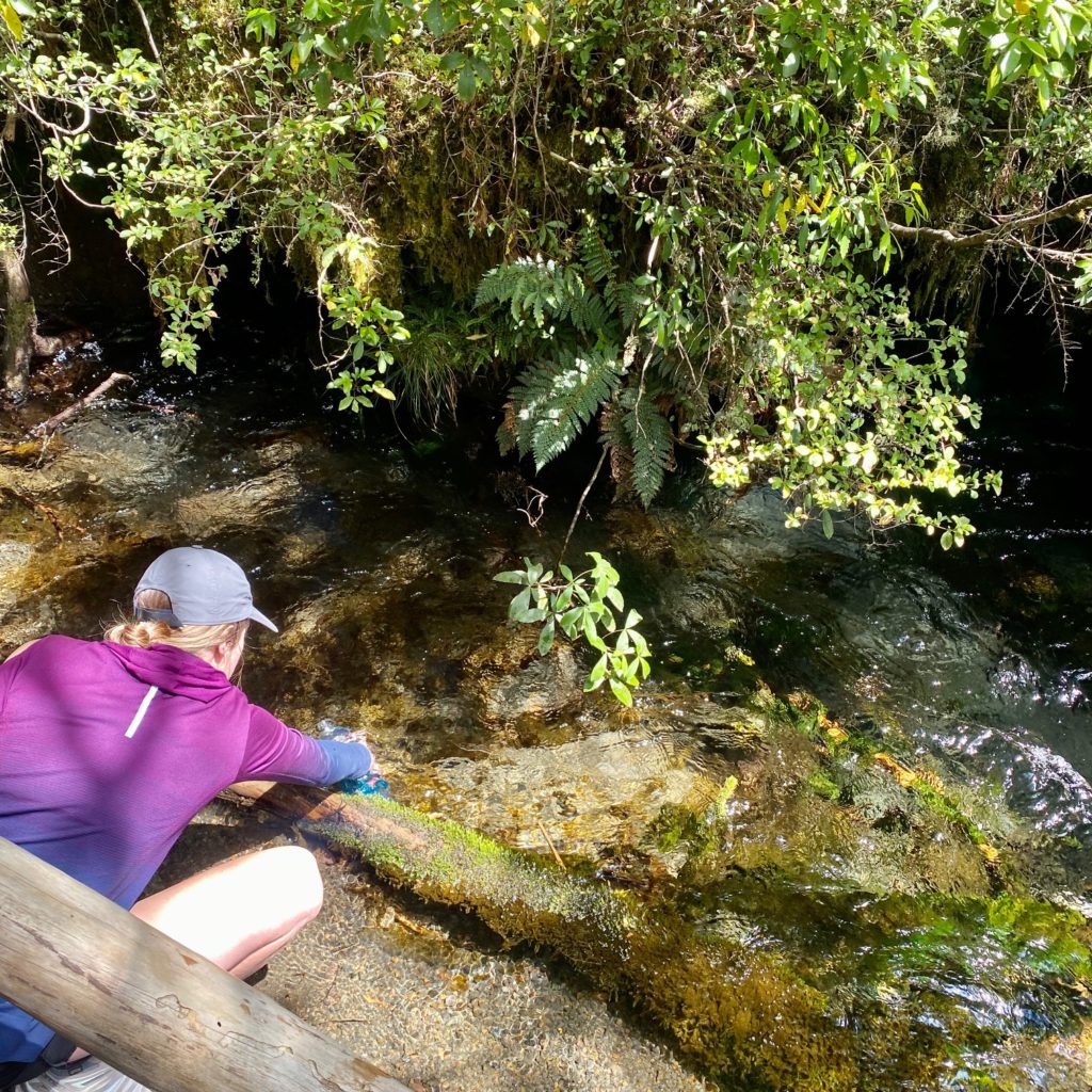 Tongariro Julia Ohinepango Springs