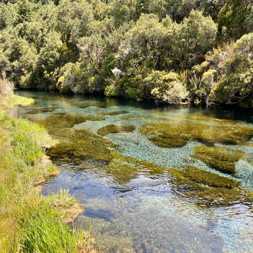 Tongariro Ohinepango Springs Creek