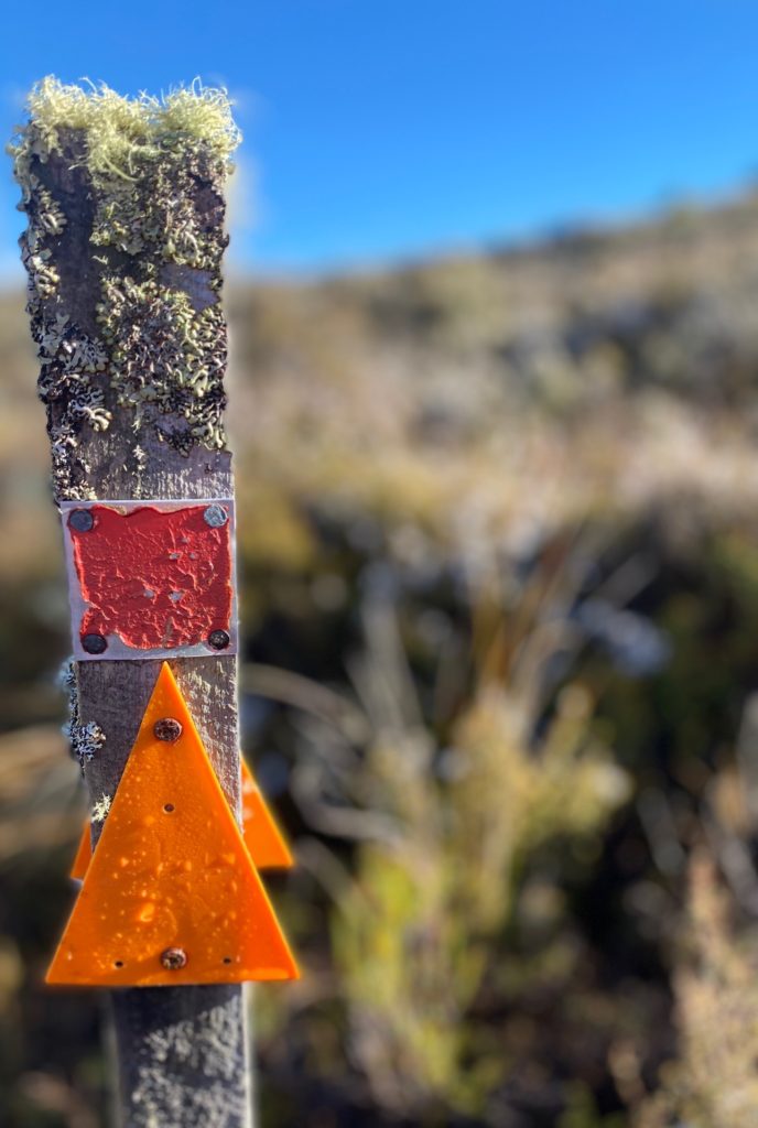 Tongariro Trail Marker