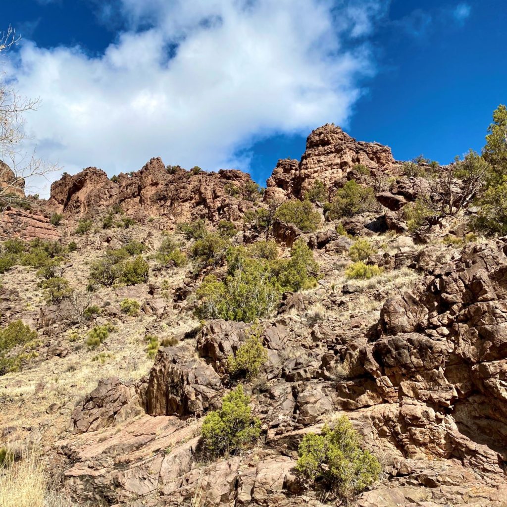 Hiking Colorado National Monument textured rocks