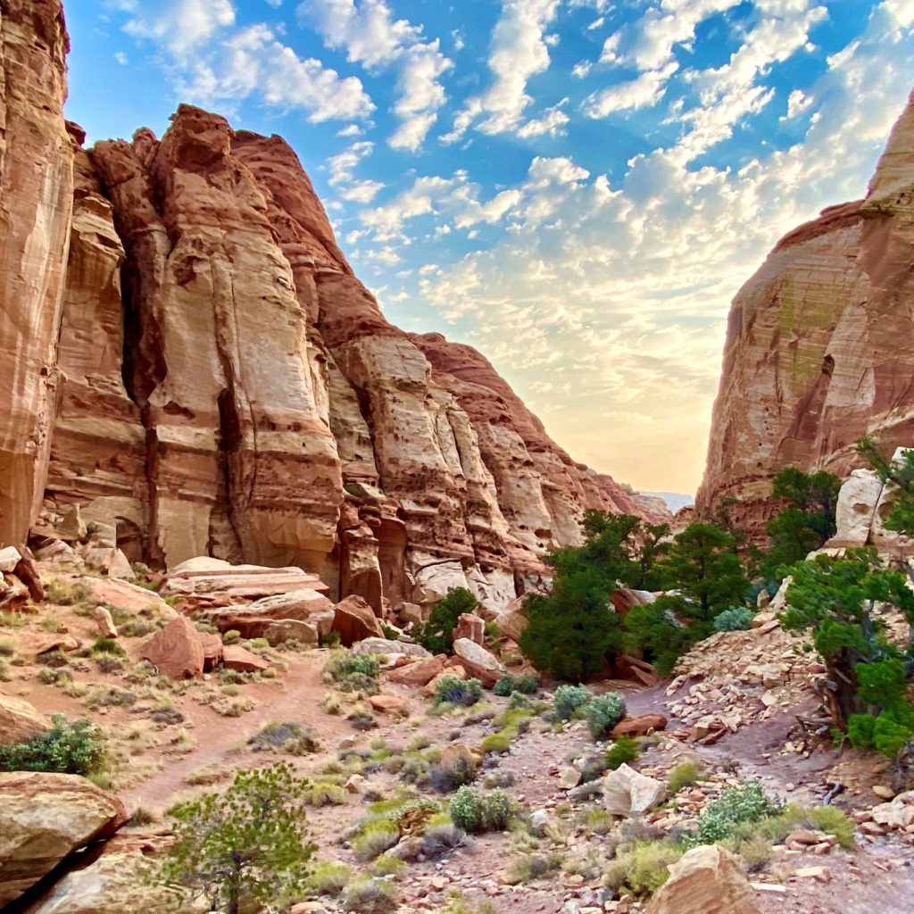 Capitol Reef National Park