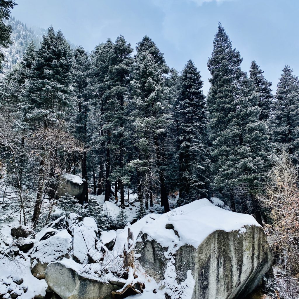 Hike in Winter along Little Cottonwood Trail