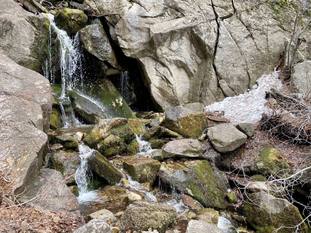 Ferguson Canyon Trail Waterfall dog friendly hikes