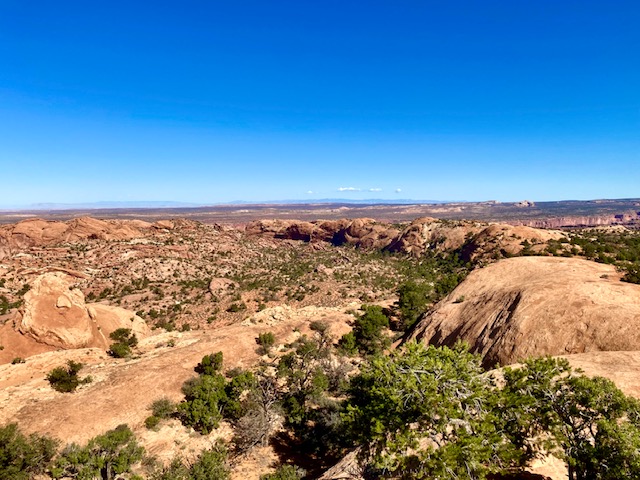 canyonlands whale rock view